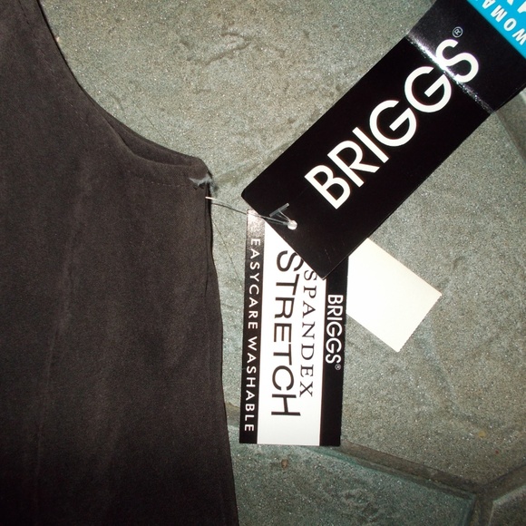 NWT brown vest by Briggs 1X original $40 now $18 - Picture 3 of 5